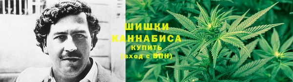 молекула духа Горно-Алтайск