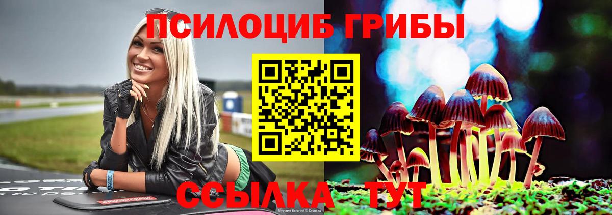 Галлюциногенные грибы Magic Shrooms  Вход с VPN  Елец 