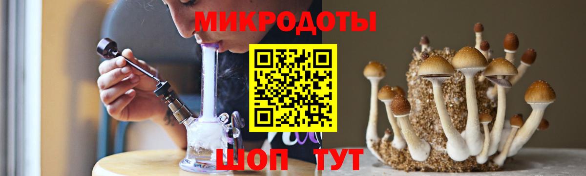 Галлюциногенные грибы прущие грибы Елец